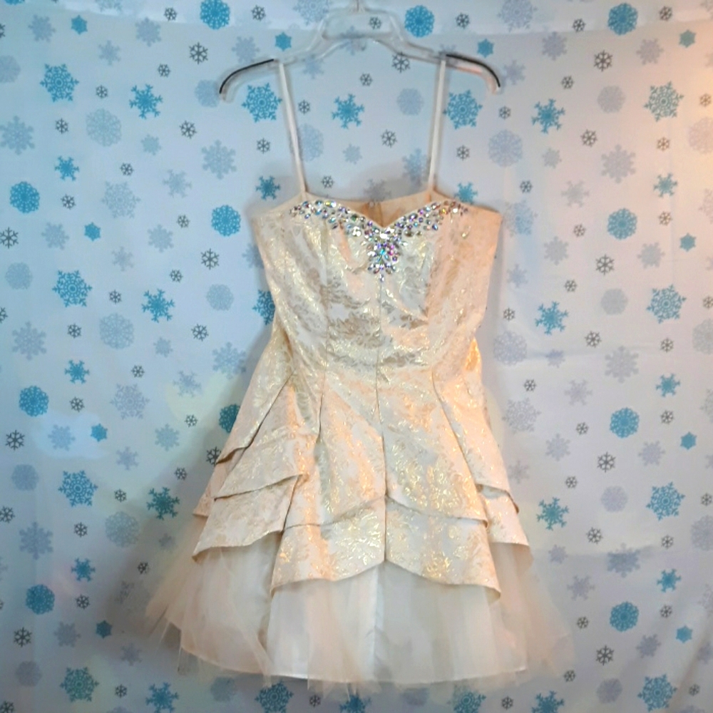 Deb's Misses Party Dress w/ tooling 14/15